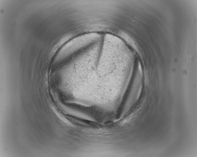 X0000070380389200606301927