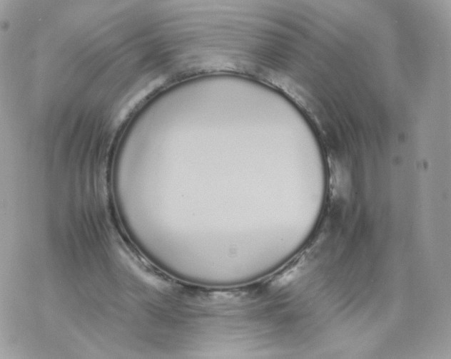 X0000070380390200606301927