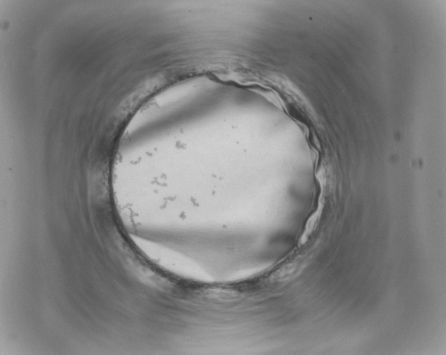 X0000070380393200606301926