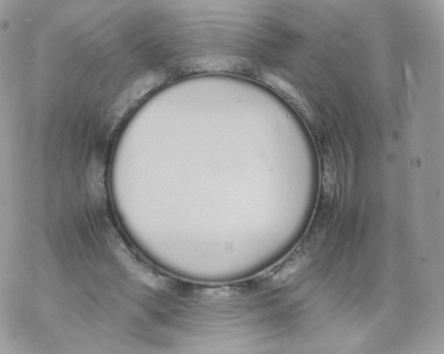 X0000070380394200606301926