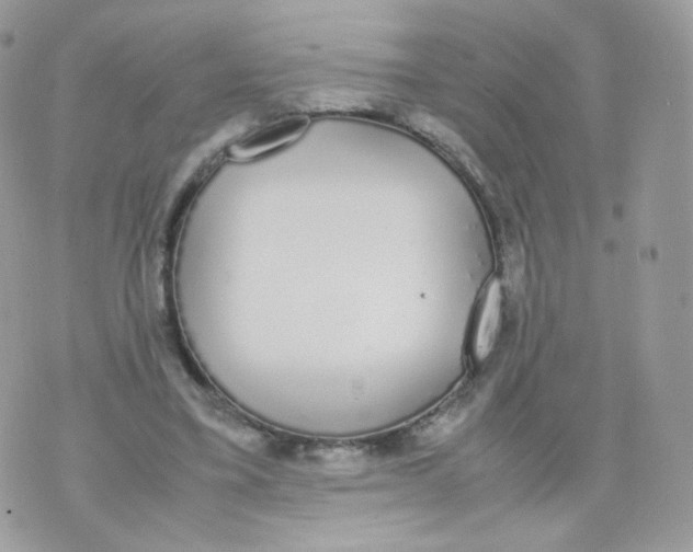 X0000070380395200606301926