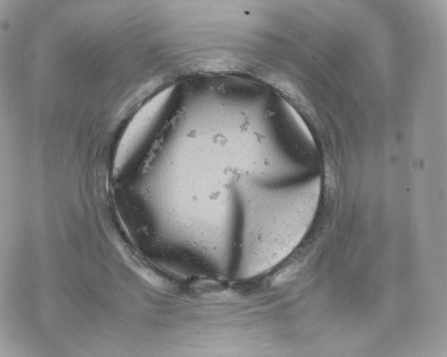 X0000070380397200606301926