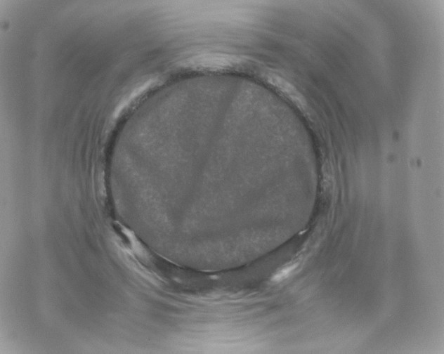 X0000070380399200606301926