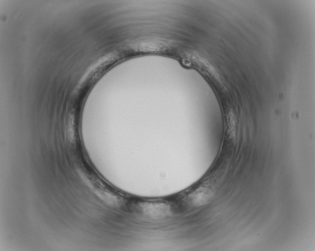 X0000070380400200606301926