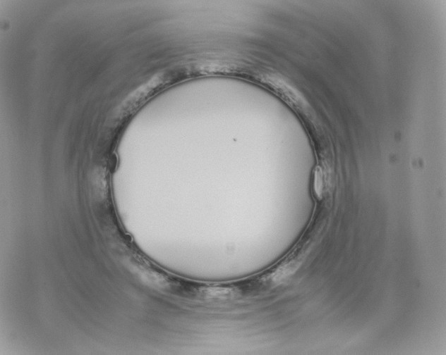 X0000070380401200606301926