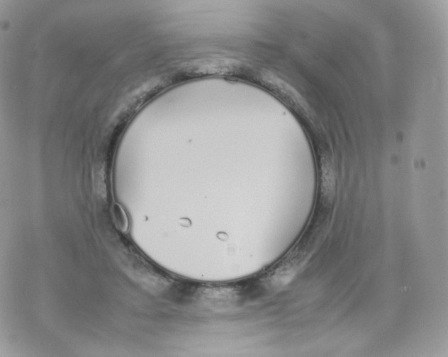 X0000070380403200606301926