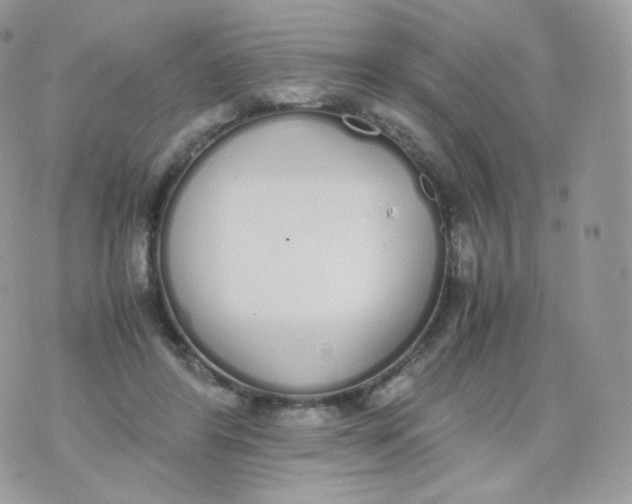 X0000070380404200606301926