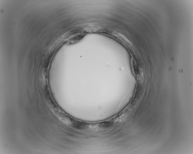 X0000070380405200606301926