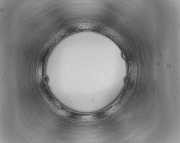 X0000070380406200606301926