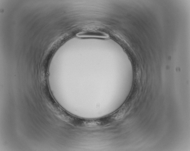 X0000070380407200606301926