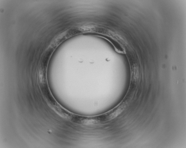 X0000070380408200606301926