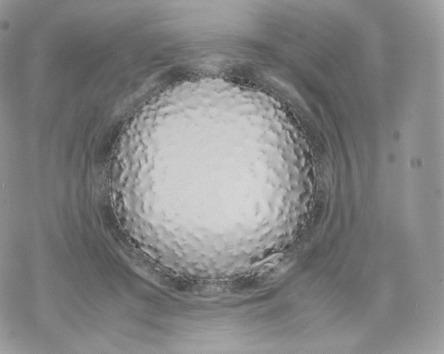 X0000070380409200606301926