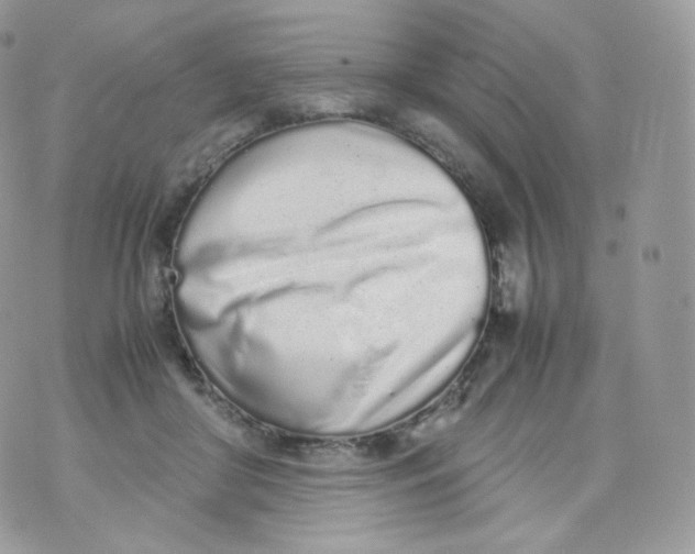 X0000070380410200606301926