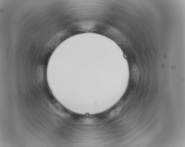 X0000070380412200606301926