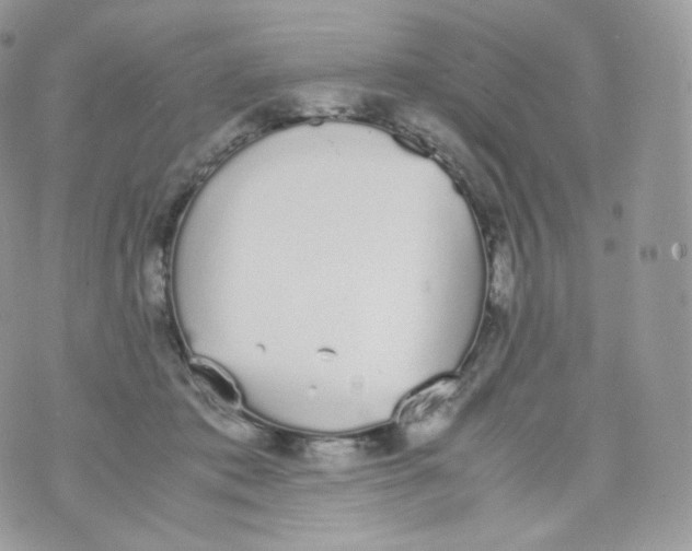 X0000070380413200606301926