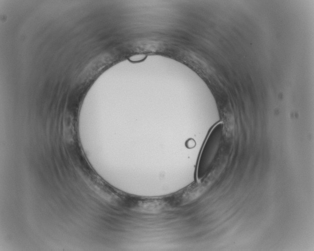 X0000070380414200606301926