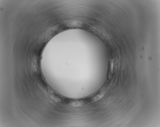 X0000070380416200606301926