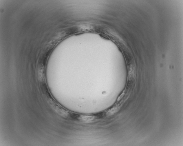 X0000070380417200606301926