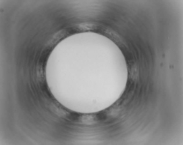 X0000070380418200606301926