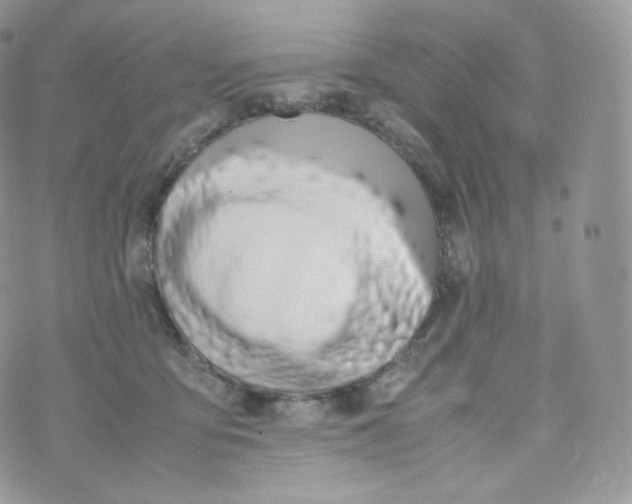 X0000070380419200606301926