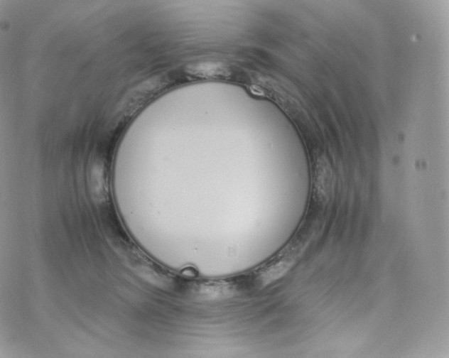 X0000070380420200606301926