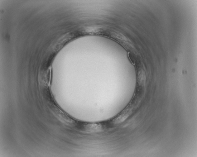 X0000070380421200606301926