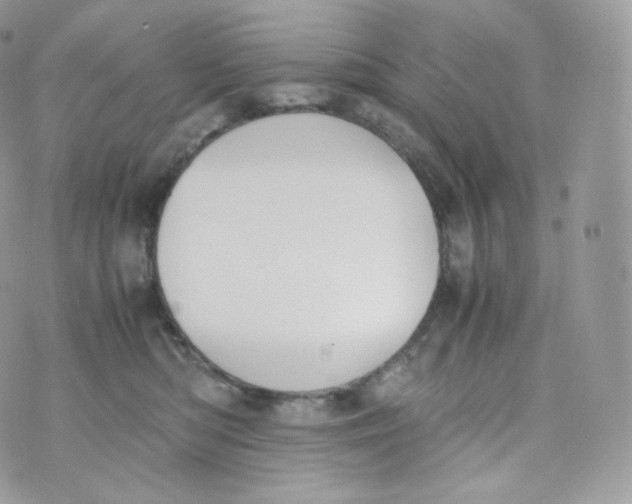 X0000070380422200606301926