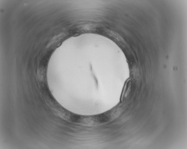 X0000070380423200606301926