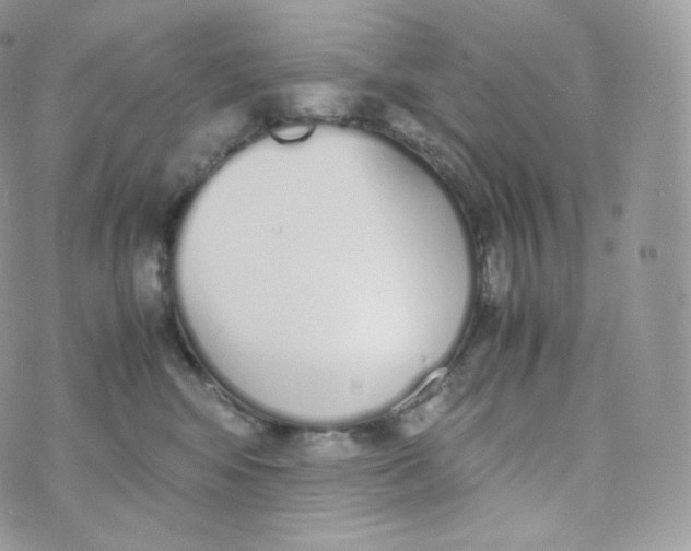 X0000070380424200606301926