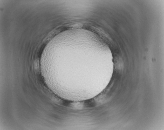 X0000070380425200606301926