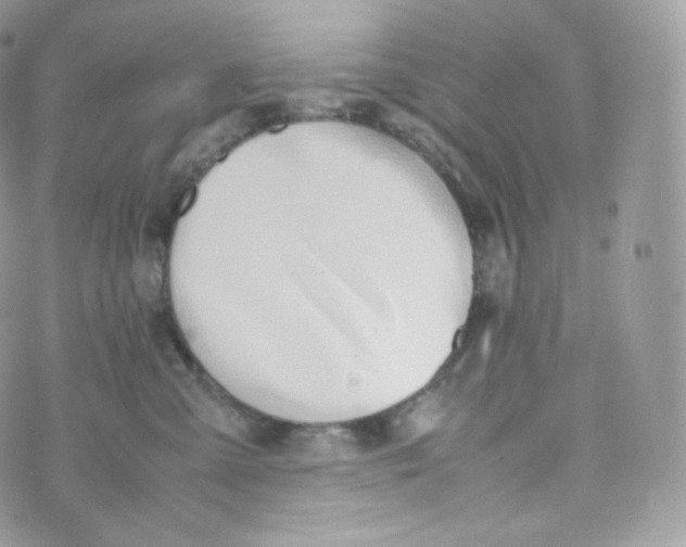 X0000070380427200606301926