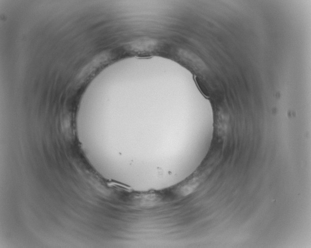 X0000070380428200606301926