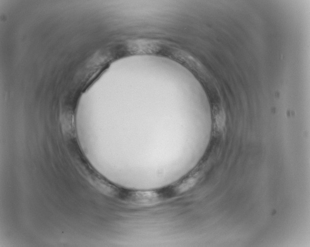 X0000070380429200606301926