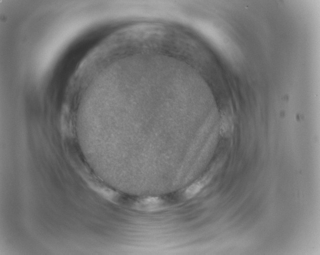 X0000070380431200606301926