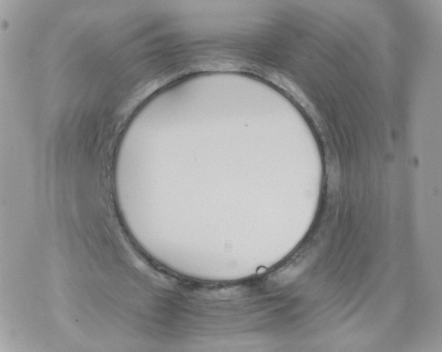 X0000070380433200606301925