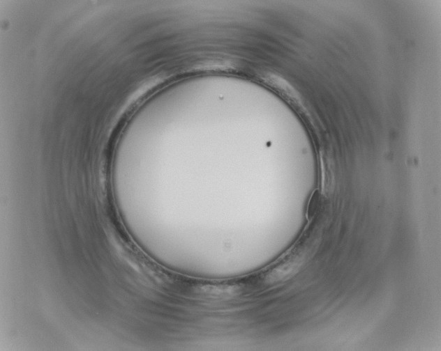 X0000070380435200606301925