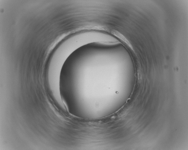 X0000070380436200606301925