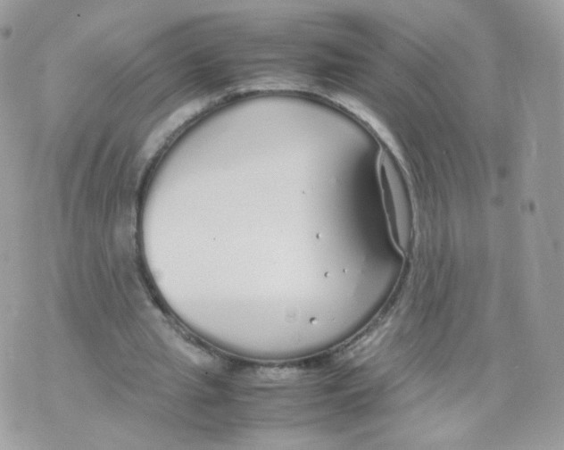 X0000070380437200606301925