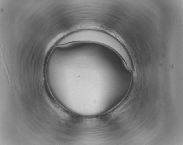 X0000070380438200606301925