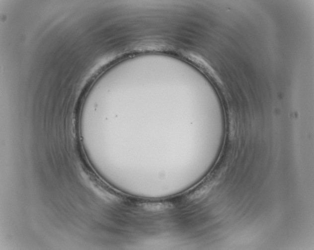 X0000070380439200606301925