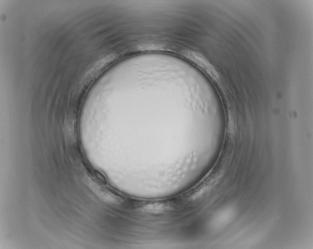 X0000070380441200606301925