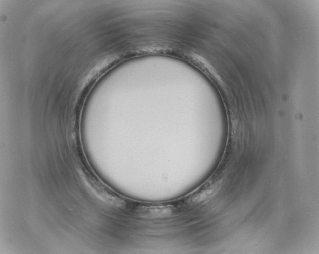 X0000070380443200606301925