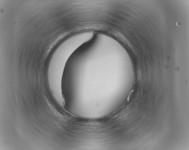 X0000070380444200606301925