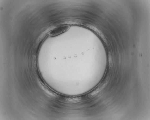 X0000070380445200606301925