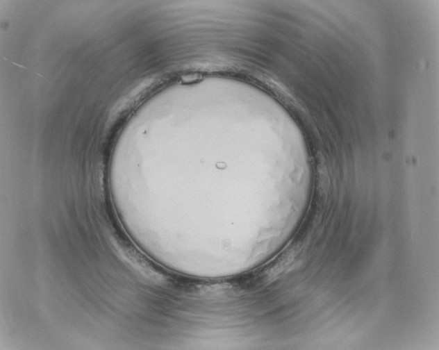 X0000070380446200606301925