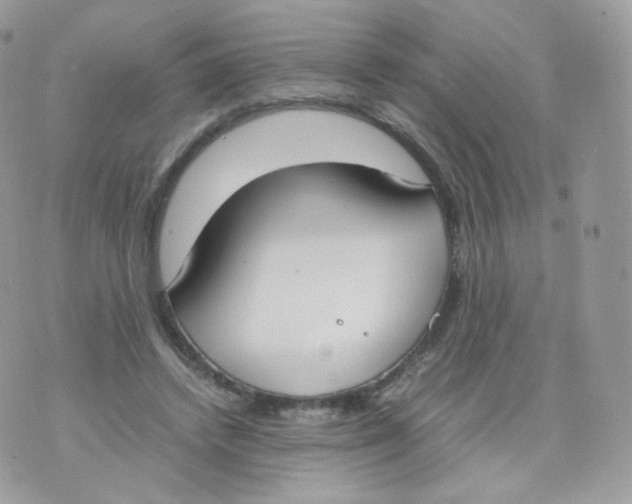 X0000070380448200606301925