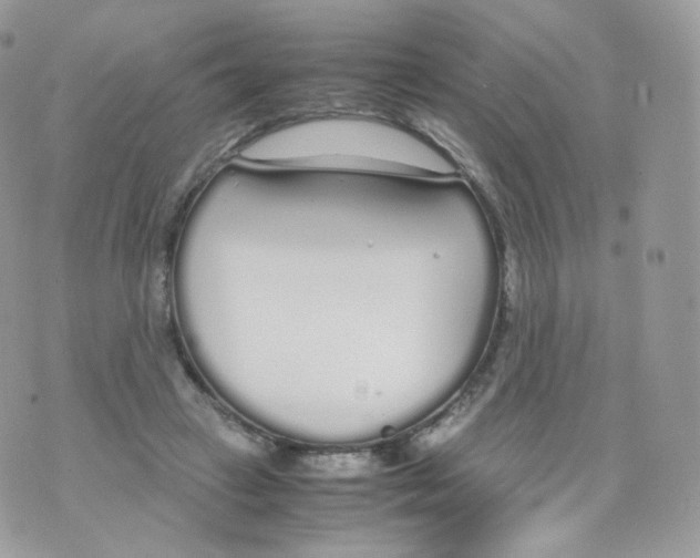 X0000070380449200606301925