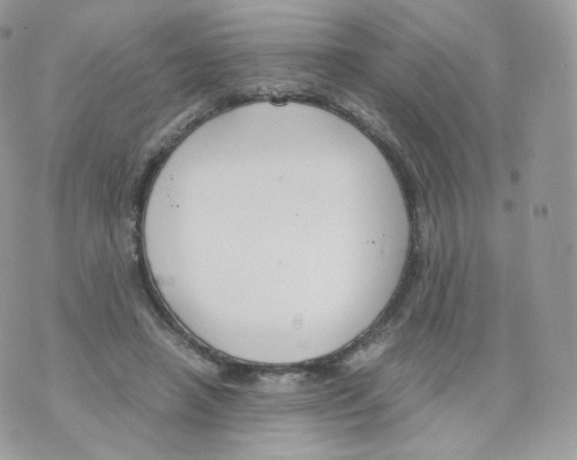 X0000070380450200606301925