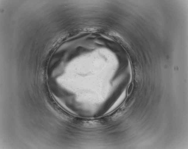 X0000070380451200606301925