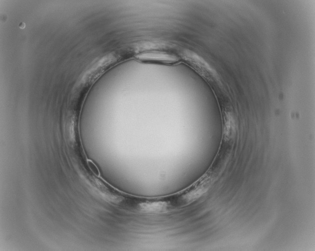 X0000070380452200606301925